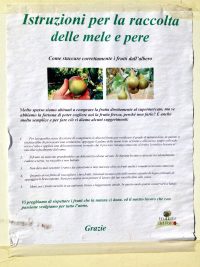 mele_ceriano_istruzioni_raccolta