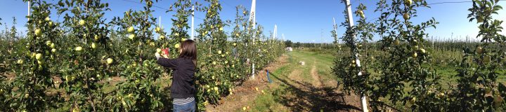 mele_ceriano_panorama2