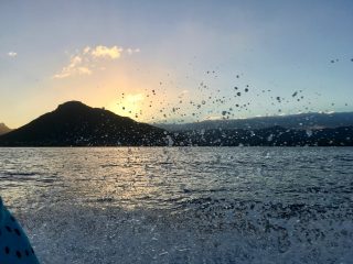 Gita in barca all'alba, alla ricerca dei delfini