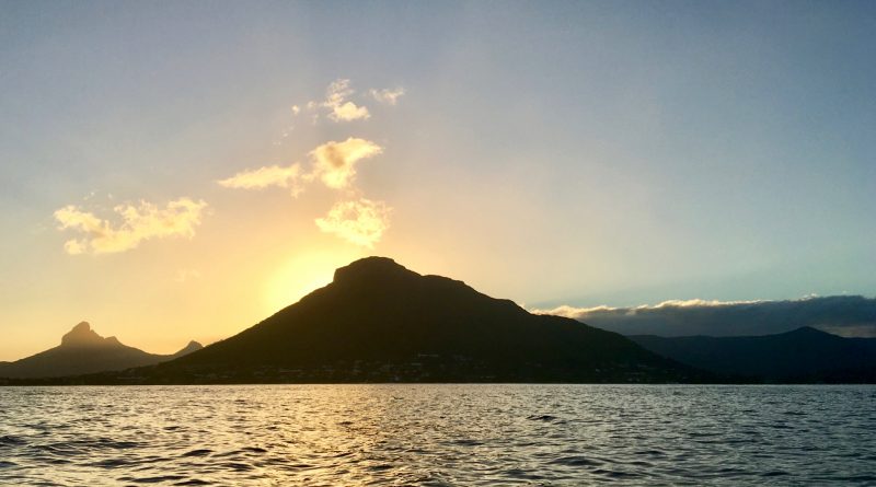 Gita in barca all'alba, alla ricerca dei delfini