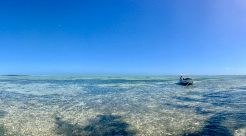 Le acque cristalline dell'isola di Benitiers