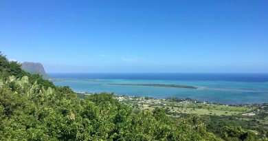Panorama dal Black River Gorges National Park