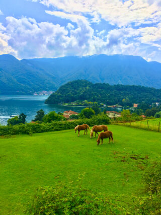 Mezzegra, panorama da via Pola