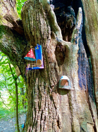 Alberto delle fate a Pigra